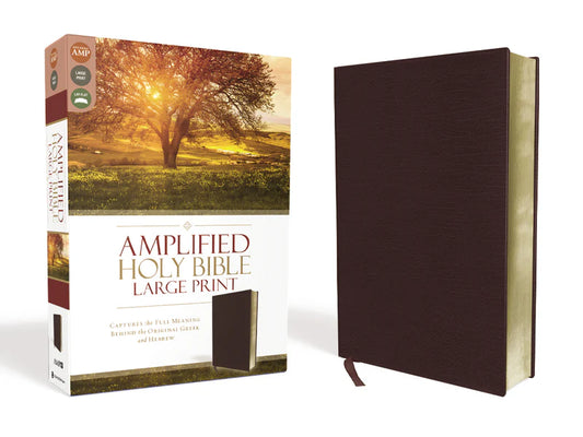 Amplified Holy Bible, Large Print